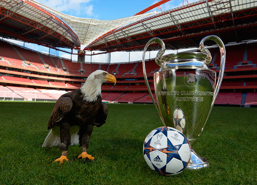 托尼：前锋不应在无意义的跑动上浪费精力，而是更专注于进球